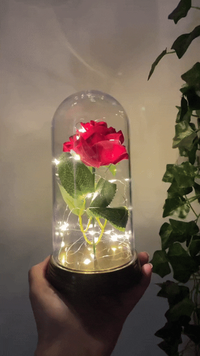 ROSA ETERNA ENCHANTED