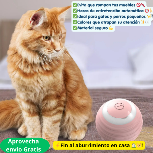 PELOTA JUGUETE INTERACTIVA PARA GATOS