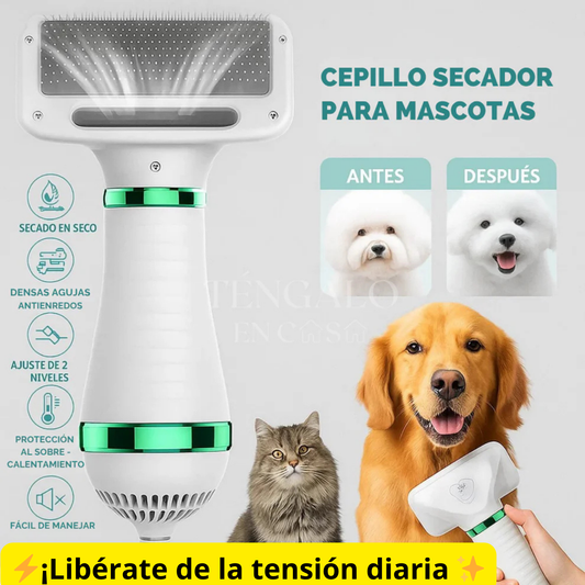 Cepillo 2 en 1
