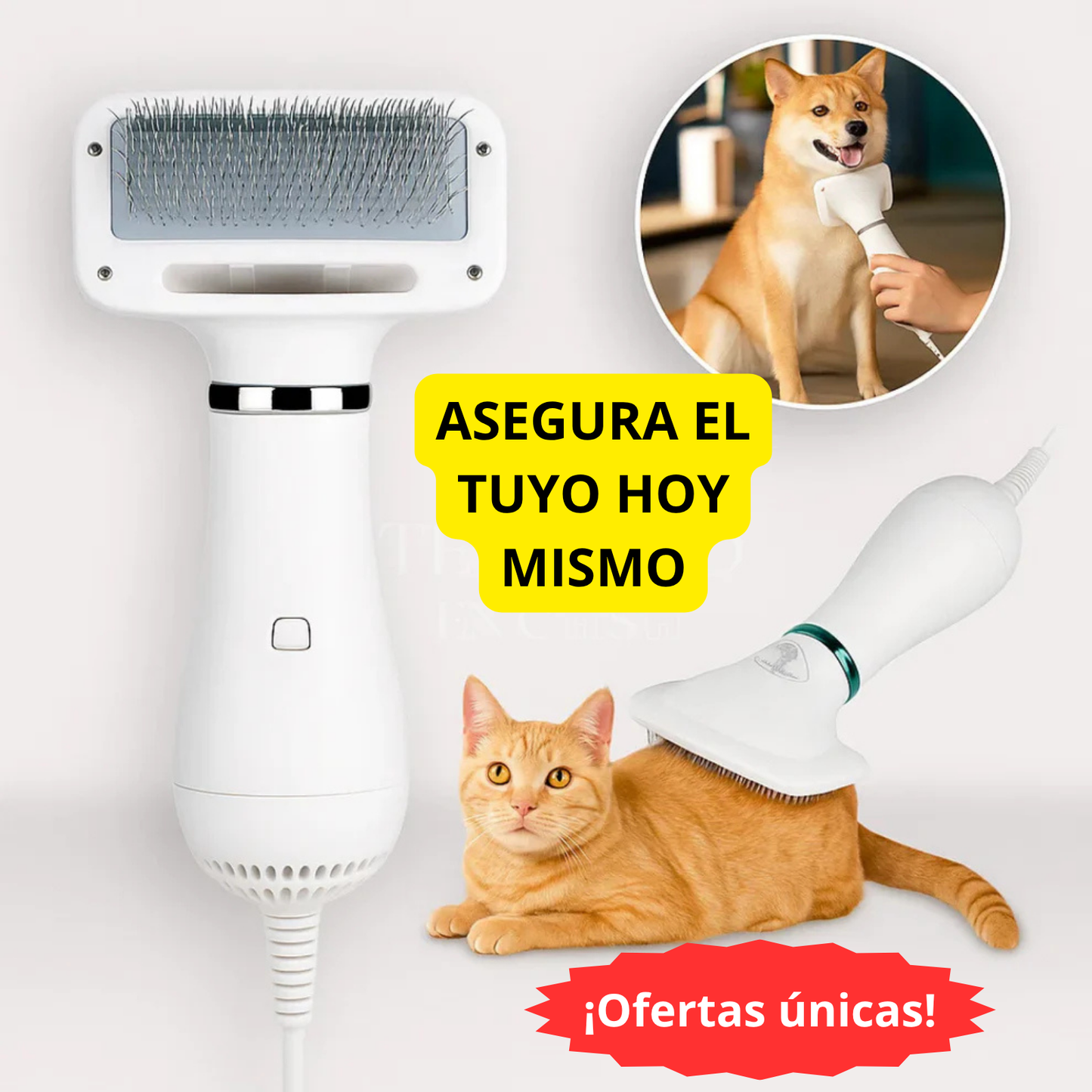 Cepillo 2 en 1