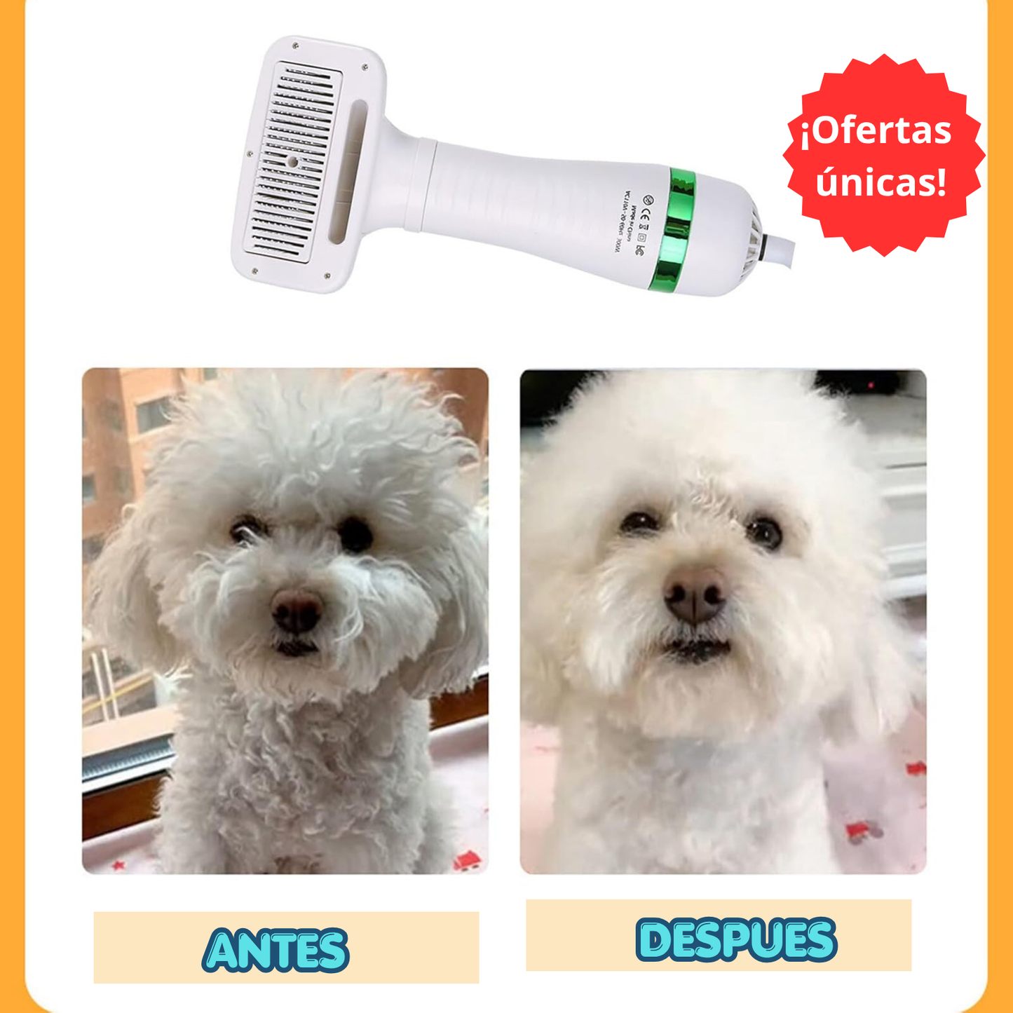 Cepillo 2 en 1