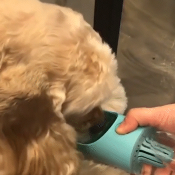 NUEVA BOTELLA MULTIFUNCIONAL PARA MASCOTAS
