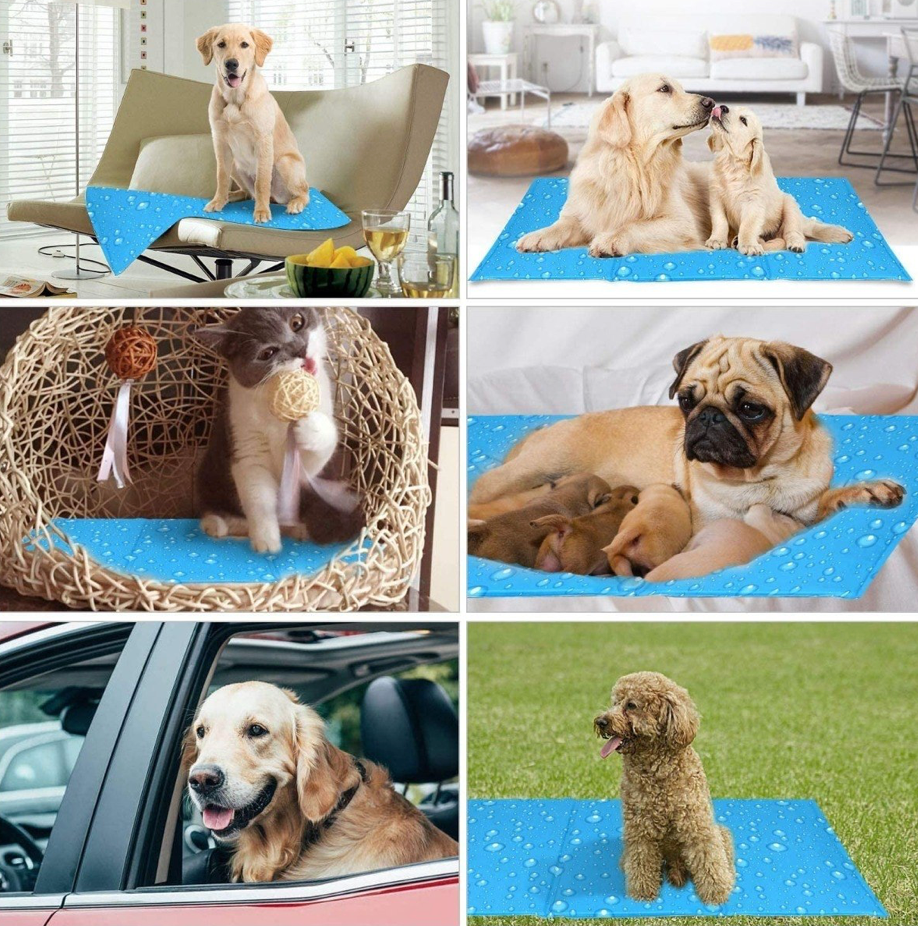 Manta Refrescante - Tamaño Universal (90x50cm) 🐶