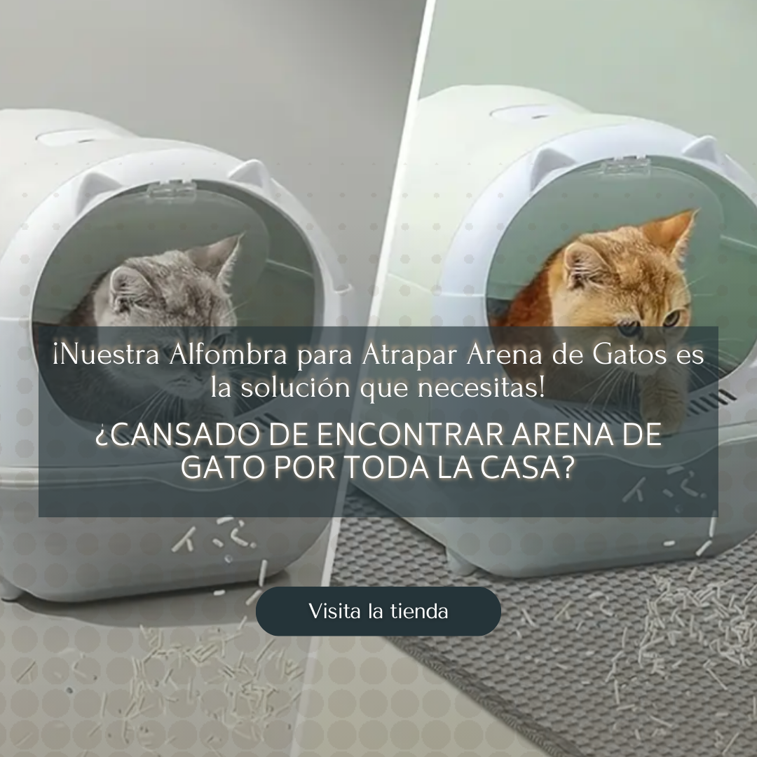 NUEVA ALFOMBRA PARA ATRAPAR ARENA DE GATOS