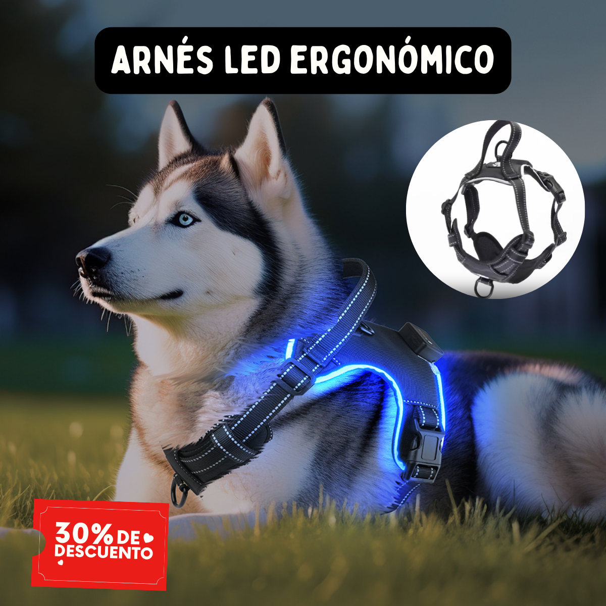 GlowGuard™: Arnés LED Pro de Seguridad y Control Total