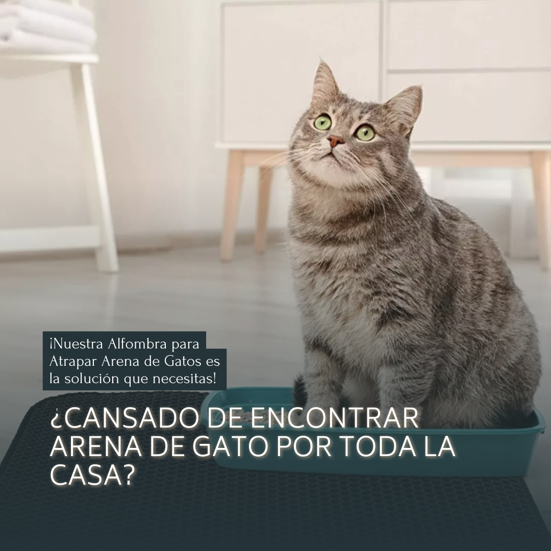 NUEVA ALFOMBRA PARA ATRAPAR ARENA DE GATOS