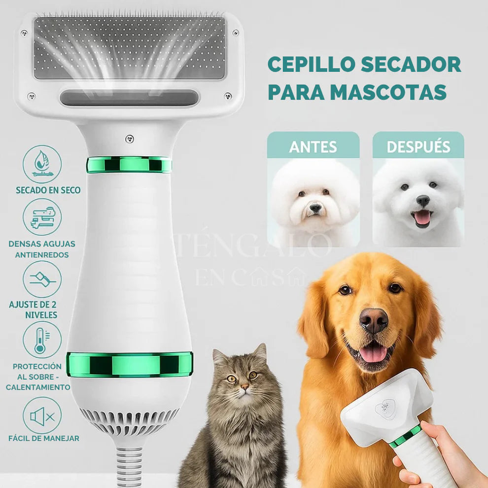 Cepillo 2 en 1