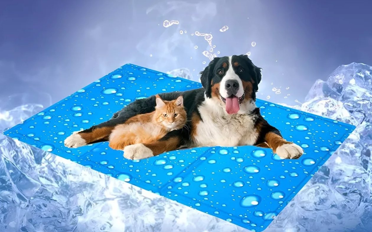 Manta Refrescante - Tamaño Universal (90x50cm) 🐶