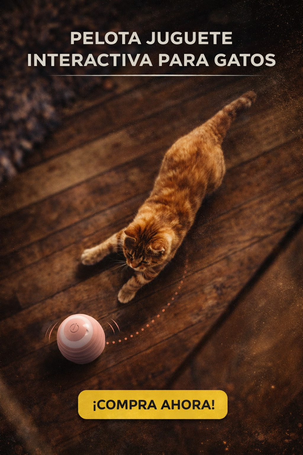 PELOTA JUGUETE INTERACTIVA PARA GATOS