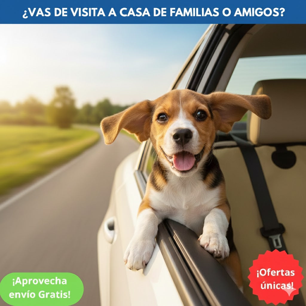 FUNDA PRO IMPERMEABLE - ¡MANTÉN TU AUTO IMPECABLE SIEMPRE! 🚗🐾